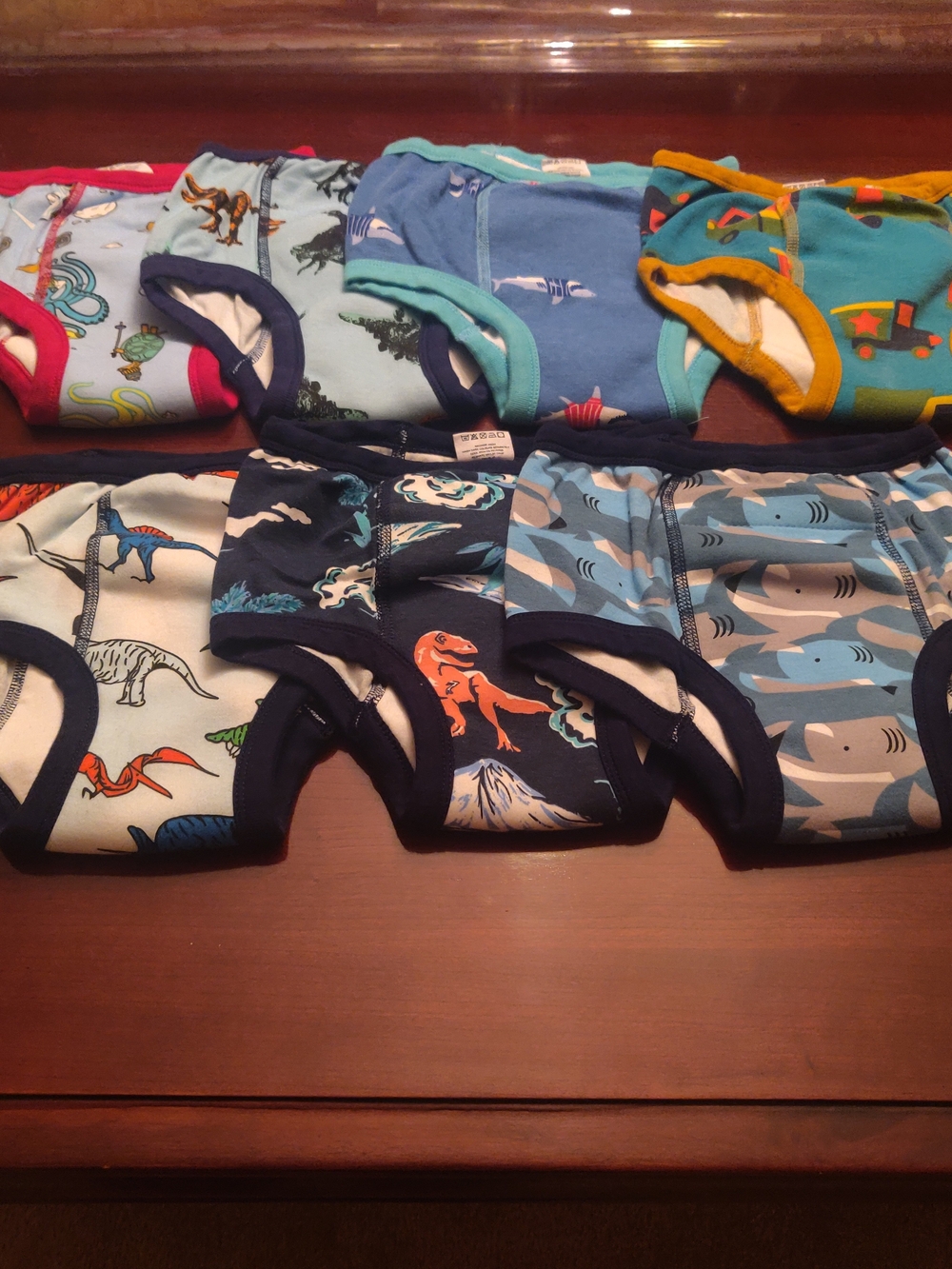 7 Boys Training Underwear Size 9Y